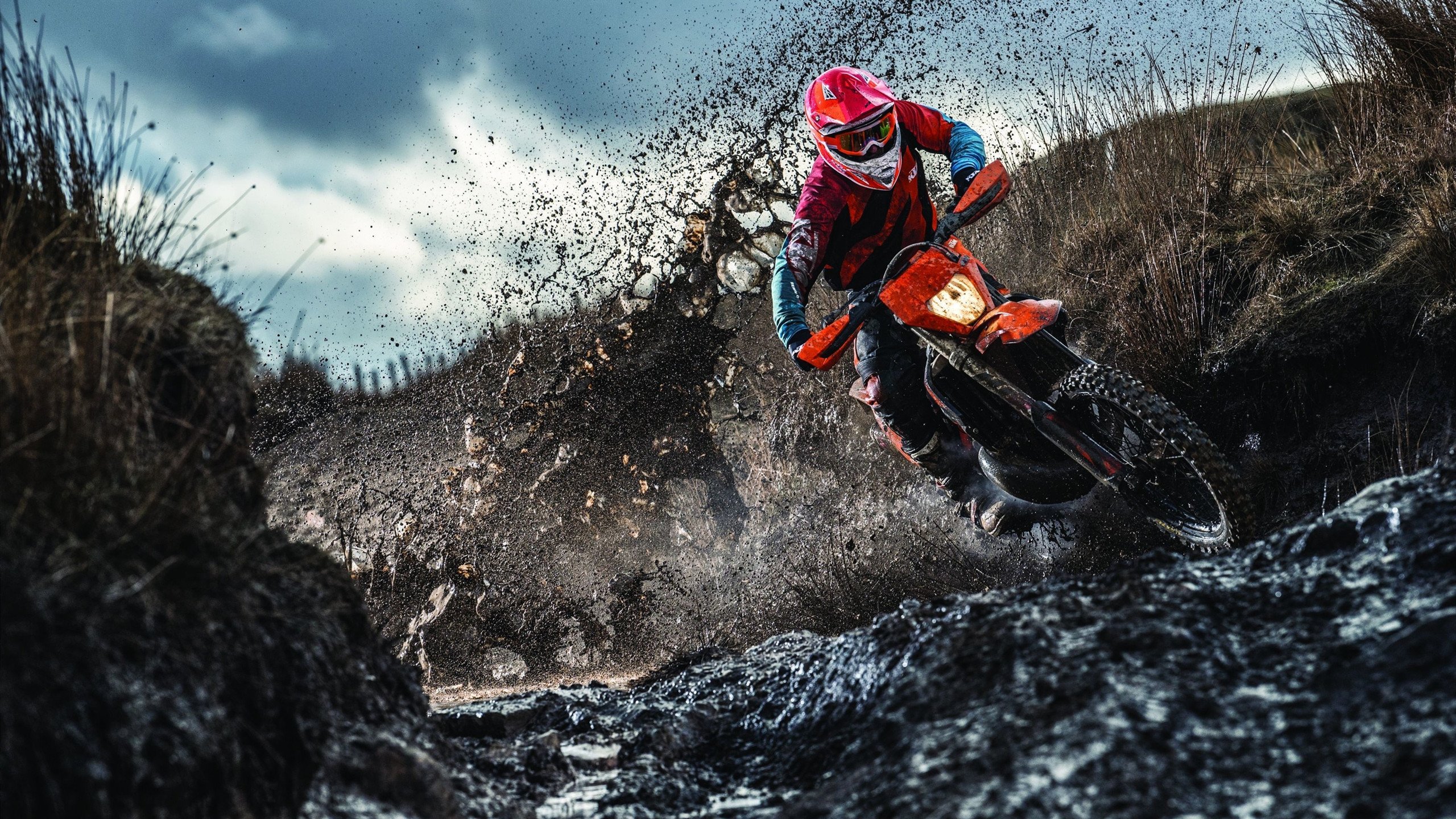 今年NBA最具潜力的新人排行榜,你支持谁冲出重围?,nba新人谁最强